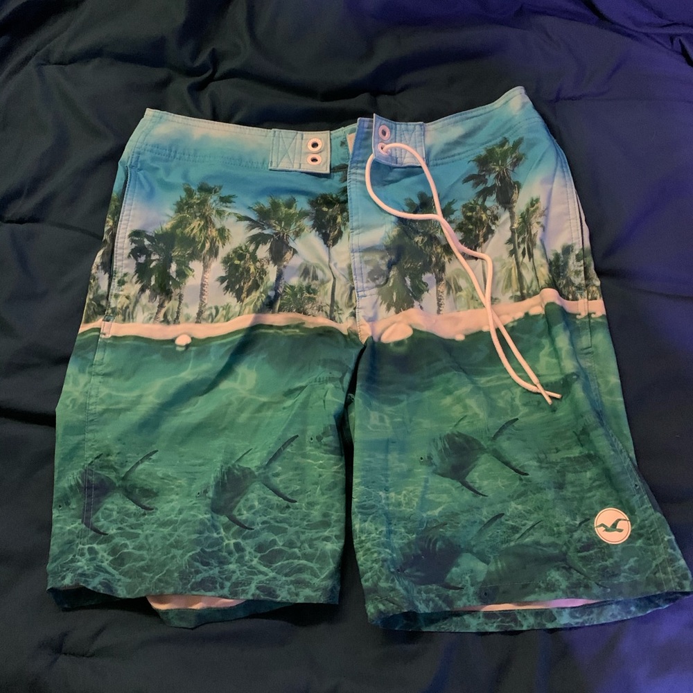 Hollister swim trunks